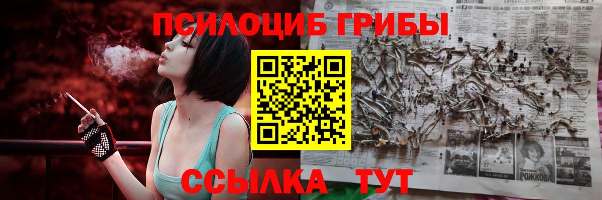 Сертолово  Псилоцибиновые грибы ЛСД  Вход с VPN 